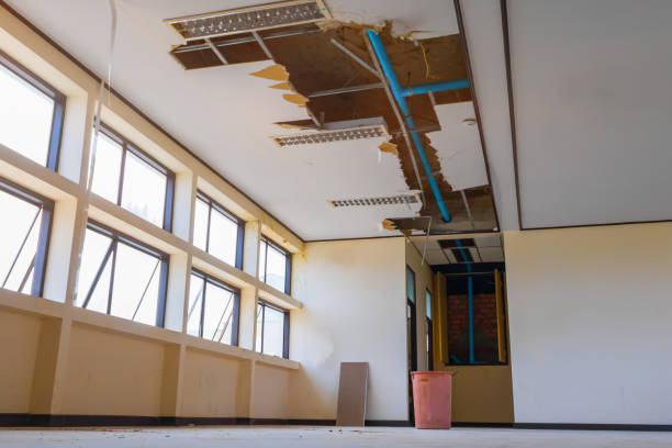 Best Local water damage restoration  in Thompsonville, CT