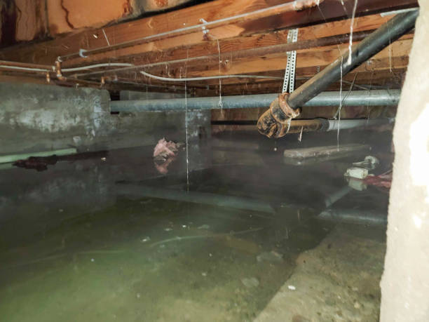 Best Emergency water damage restoration  in Thompsonville, CT