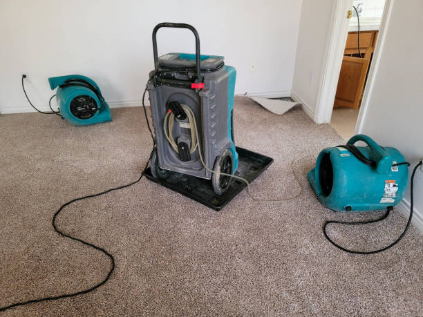 Best Water damage contractors near me  in Thompsonville, CT