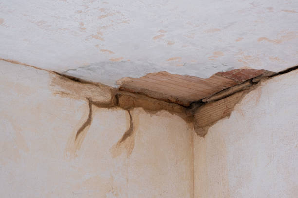 Best Water damage repair service  in Thompsonville, CT
