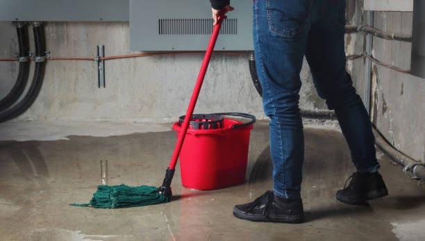 Best Flooded house restoration  in Thompsonville, CT
