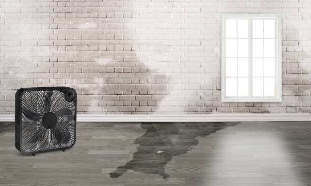 Water damage restoration process in Thompsonville, CT